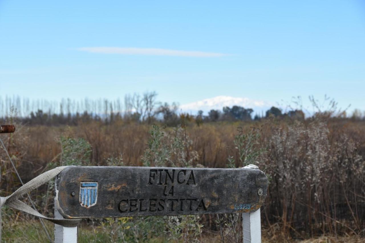 Finca La Celestita Colonia Alvear Exteriör bild