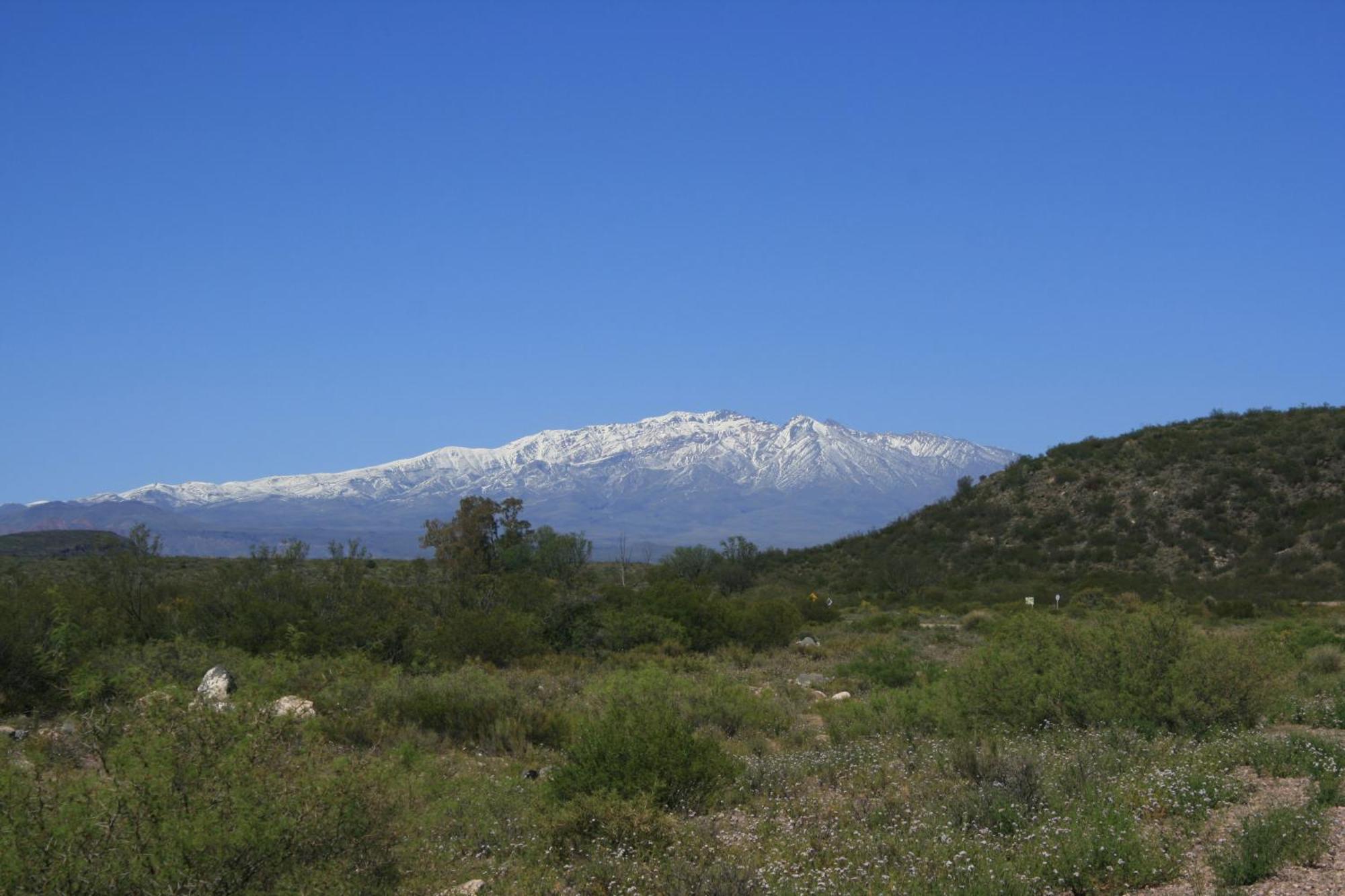Finca La Celestita Colonia Alvear Exteriör bild